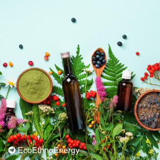 Продвижение российских натуральных БАДов и экопродуктов с Tepsey