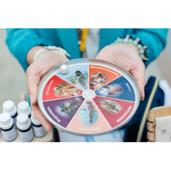 Аромасаше Набор 7 женских состояний