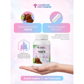 Чага в капсулах 90 штук по 450 мг верховой сбор