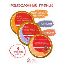 Набор пряников с начинкой Морковь абрикос, Черника, Рябина, 3 шт по 200 гр